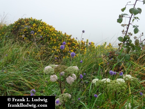 Valentia Island